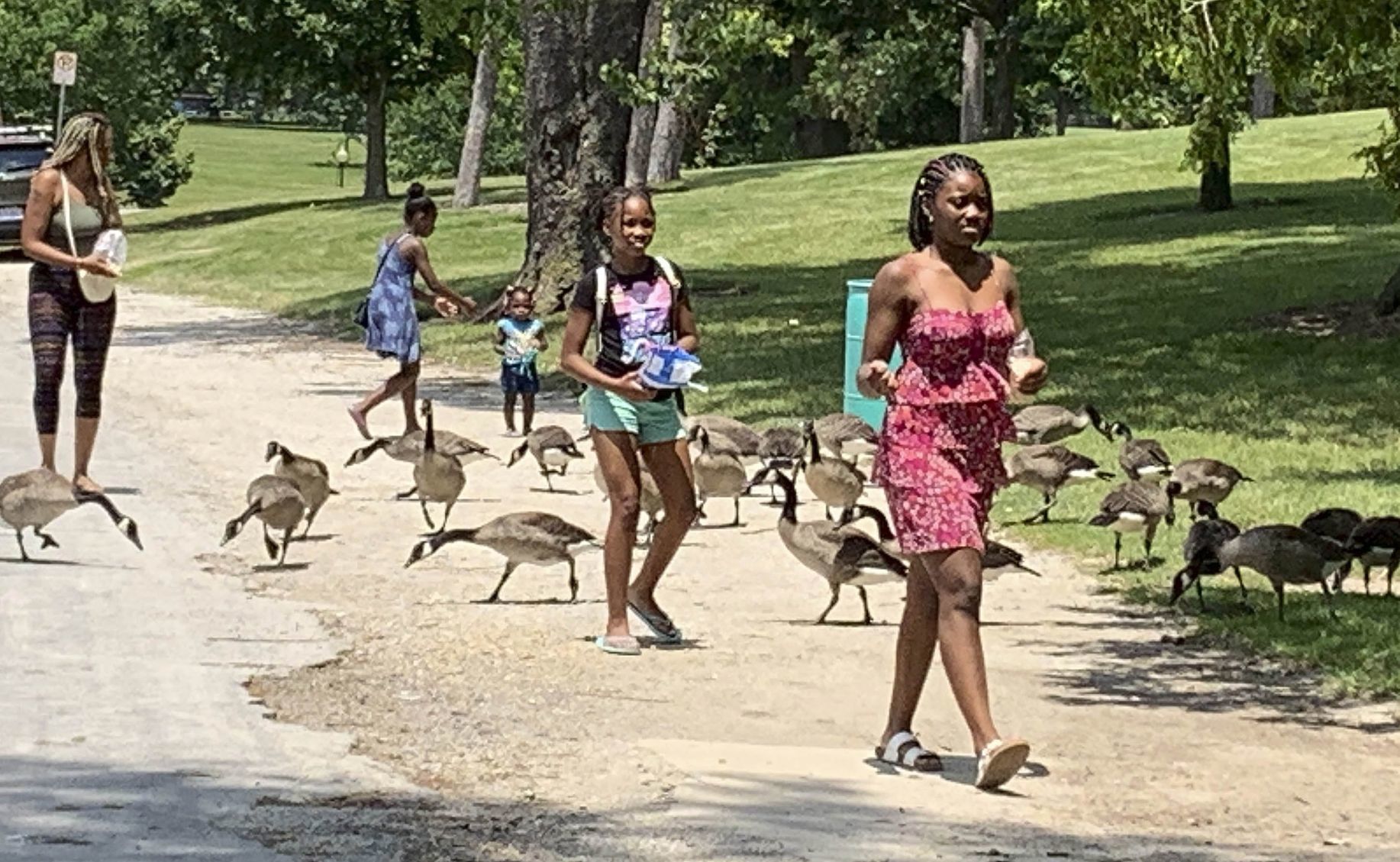 070619-blm-loc-3geese